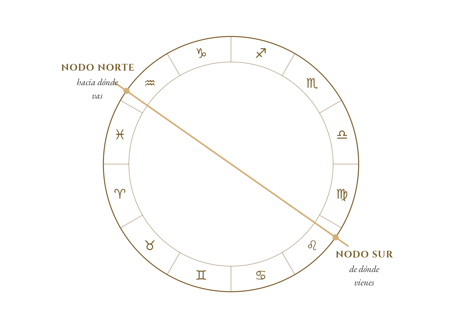 Rueda de una carta natal con una sola línea recta que la cruza por el centro de lado a lado. Un extremo es el Nodo Norte, hacia dónde vas; el opuesto es el Nodo Sur, de dónde vienes. Los doce signos del zodiaco rodean el borde.